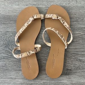 NEW Tapeet by vicini thong sandals snakeskin